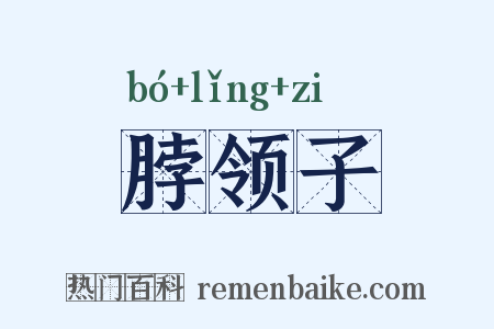 脖领子是什么意思的图片